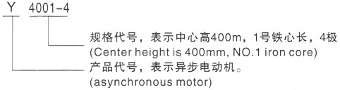 西安泰富西玛Y系列(H355-1000)高压Y355-2/6KV三相异步电机型号说明