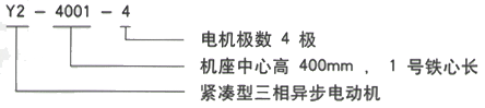 YR系列(H355-1000)高压Y355-2/6KV三相异步电机西安西玛电机型号说明